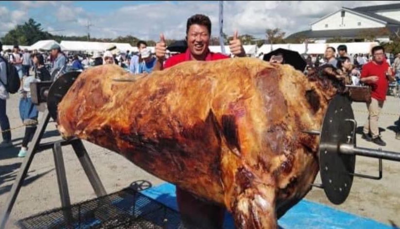 utsumissimo's tweet photo. 桜が満開！
篠山城下は桜まつり！

名物の『牛の丸焼き』も復活🐃
篠山の畜産農家による激レアイベント🐃
迫力満点すぎる！ https://t.co/NMhicDr31a
