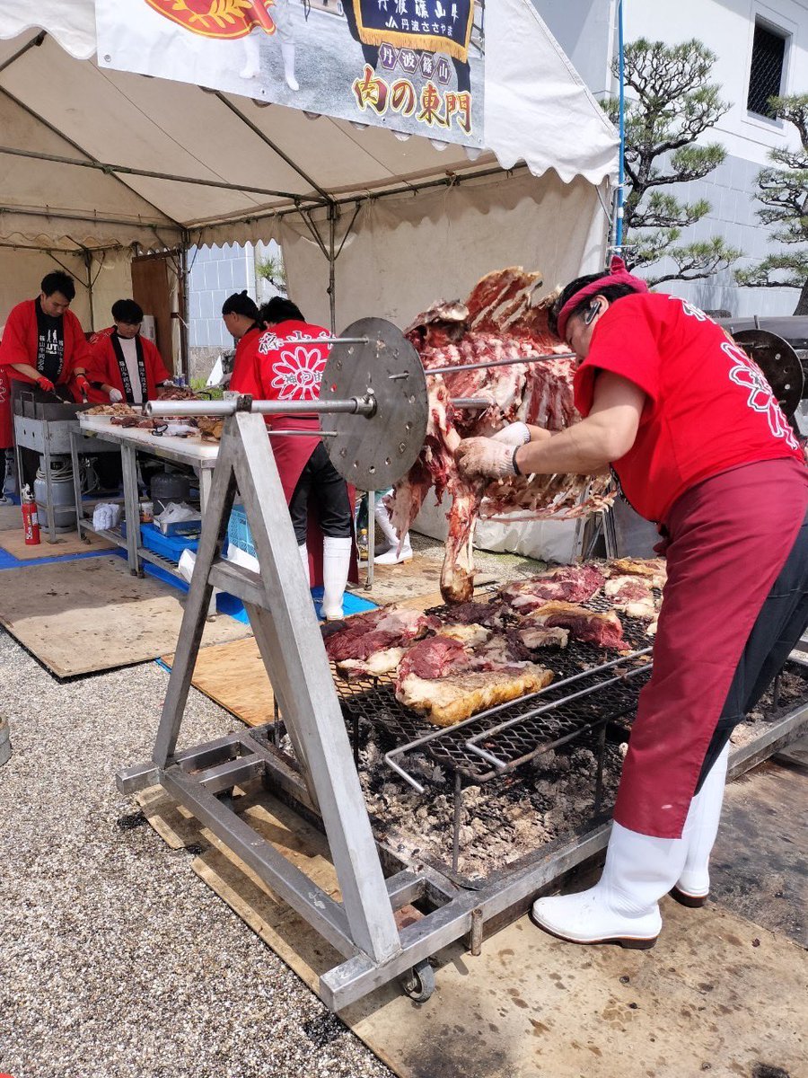 utsumissimo's tweet photo. 桜が満開！
篠山城下は桜まつり！

名物の『牛の丸焼き』も復活🐃
篠山の畜産農家による激レアイベント🐃
迫力満点すぎる！ https://t.co/NMhicDr31a
