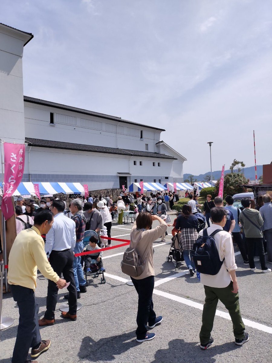 utsumissimo's tweet photo. 桜が満開！
篠山城下は桜まつり！

名物の『牛の丸焼き』も復活🐃
篠山の畜産農家による激レアイベント🐃
迫力満点すぎる！ https://t.co/NMhicDr31a