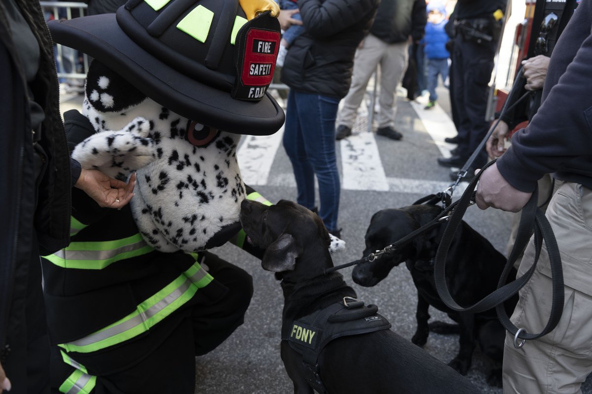 During the 2 weeks when Ladder 8 was in a deep freeze for the #Ghostbusters: Frozen Empire movie, our Fire Safety Education Unit & Mobile CPR Training Unit educated more than 2,000 people. Special thanks to@FDNYFoundation & our dedicated members!