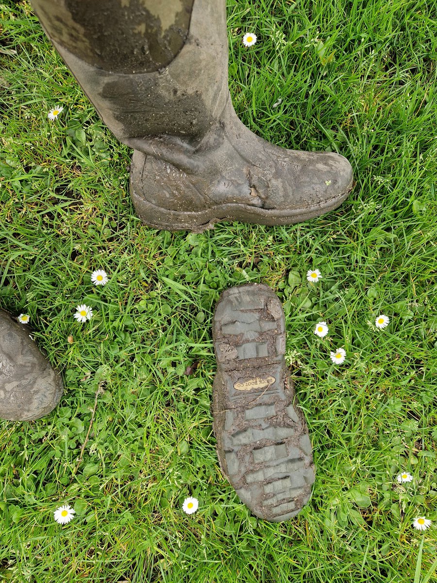 Shaun Ferguson 🇿🇦🇬🇧🏴󠁧󠁢󠁳󠁣󠁴󠁿 tweet media