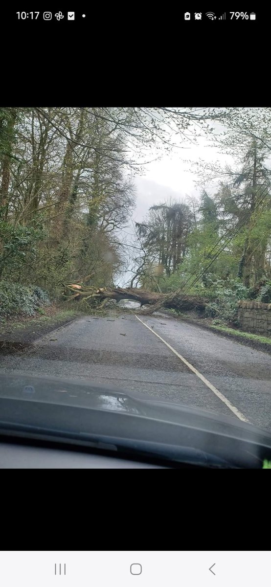 Oboyle76's tweet photo. @Dermotom @athboyrugby @rcsirugby Dermot tree down Athboy/Trim Rd. Safe travels to supporters and teams traveling today https://t.co/qyNeREtCjD