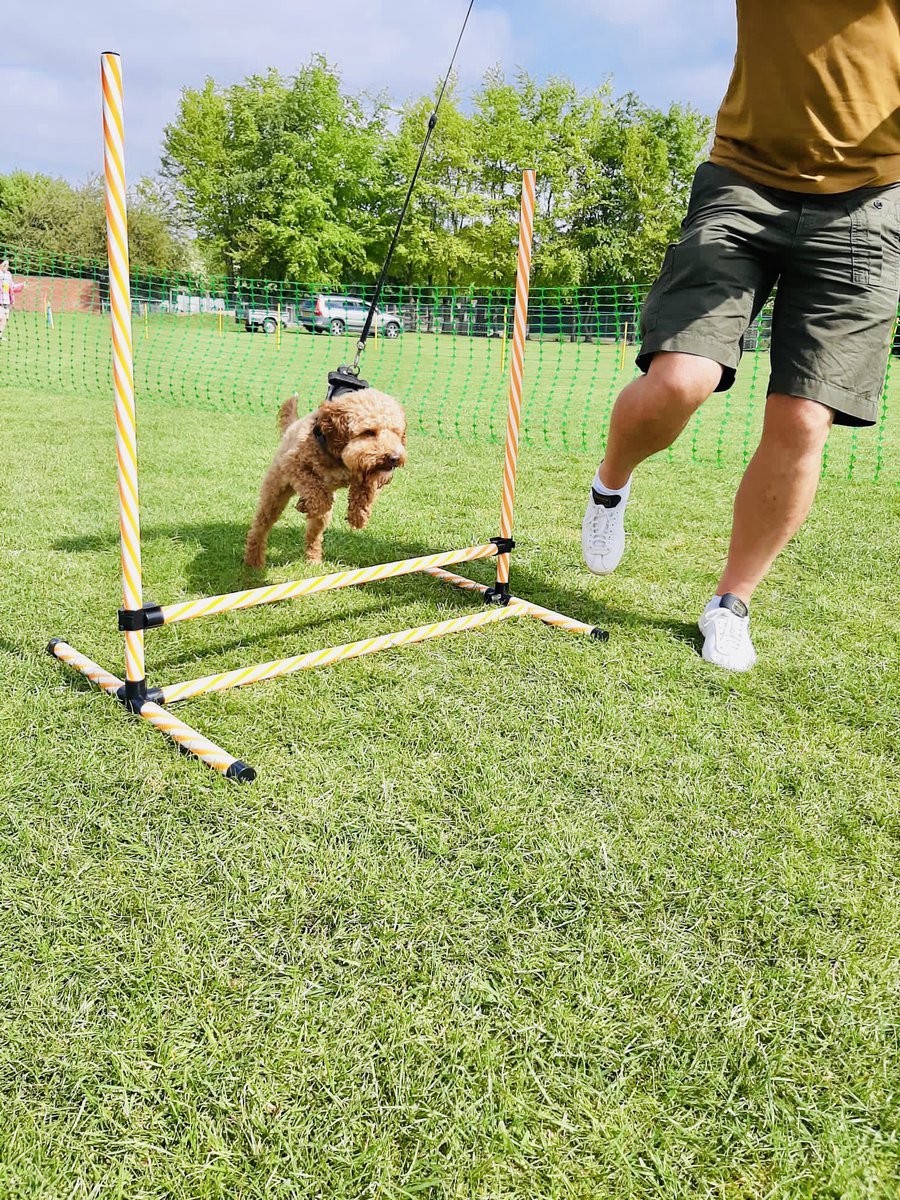 Dog Show and Walk Sun 12 May 10-11.30am St Peter's Junior School Ruddington NG11 6GB Dogs £3 square.link/u/EgYbM1b3 Hoo’mans are free If you would like to attend the event as an external trader for free, then please email the team at: fos.stpeters@gmail.com for more details