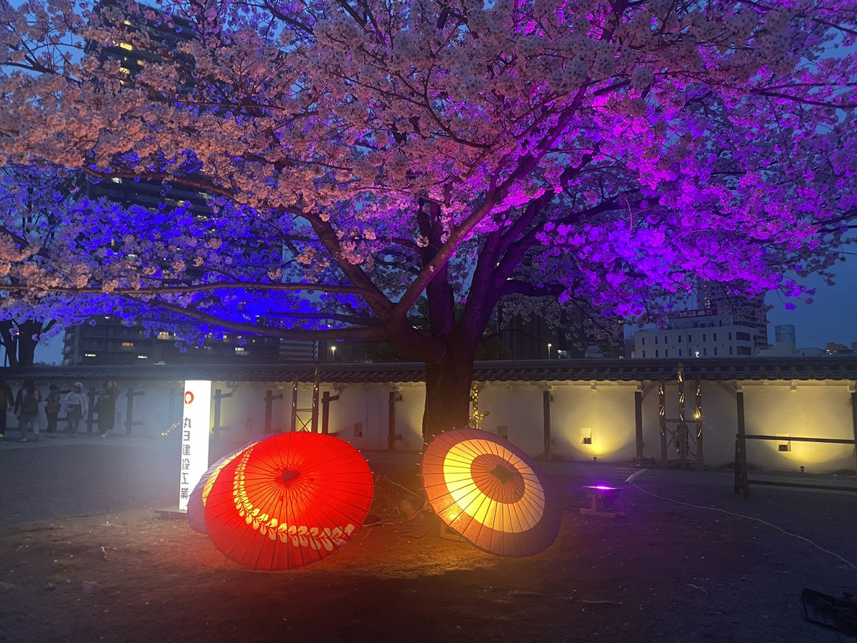 久しぶりに花見