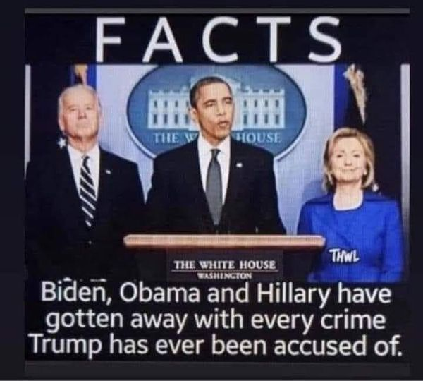 Fact. Biden, Obama, and Hillary have gotten away with every crime President Trump has ever been accused of. Are you angry yet?