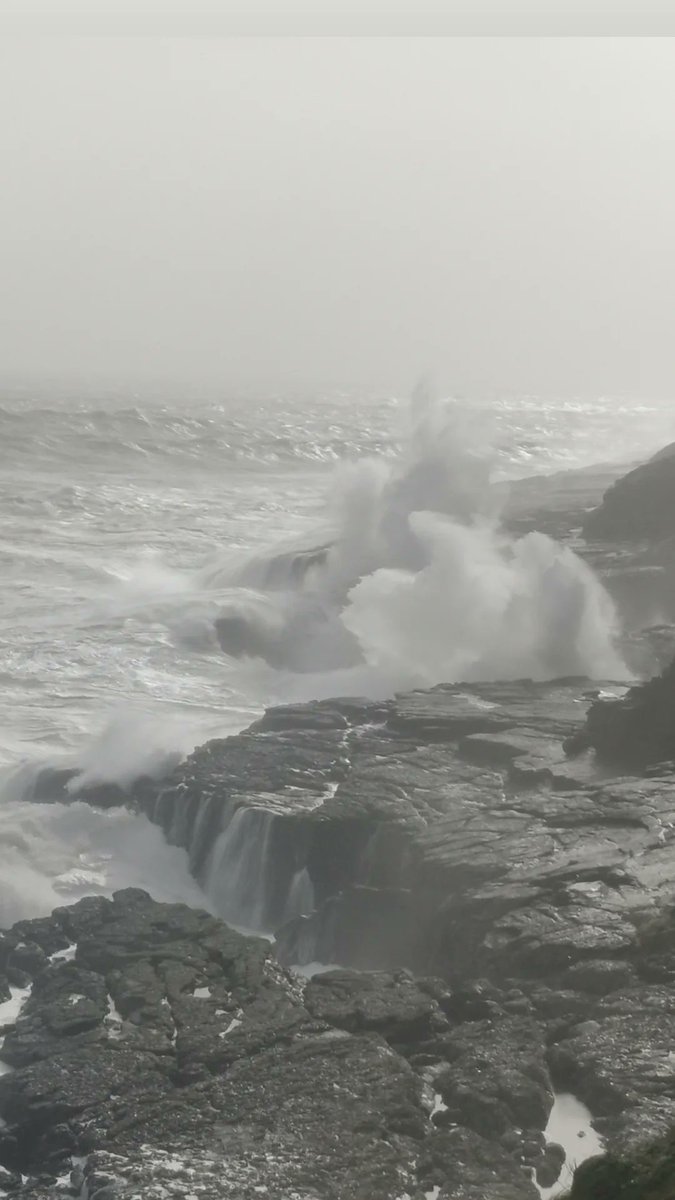 Cian Mc Donagh tweet media