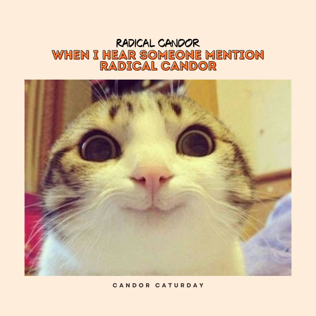 Radical Candor all day everyday, especially on caturdays 🧡🐾 #Caturday #CatMeme #RadicalCandor #Funny #Catstagram #CatsofInstagram