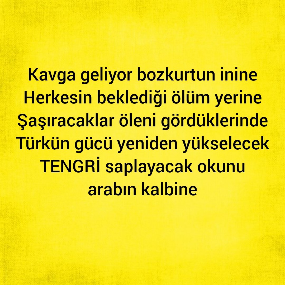 Piramit Koza Akademi (@tanyajaziri) on Twitter photo 