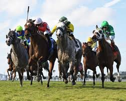 lotohipico's tweet photo. #Sabado #April06. 2024.
#GULFSTREAMPARK.🏇
@DerbyNoqueador (+58 4248131900).
#Americanas.
#Hipismo.
2da CARRERA👊.
3-4. Un candado.!!
Agradezco un retweet. https://t.co/xblH1pdIHC
