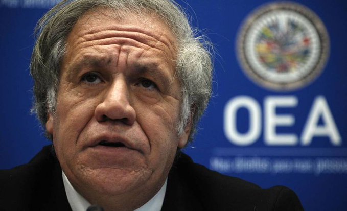 Finalmente se pronuncia Luis Almagro con una enjuta nota en la cual: no condena al gobierno de Daniel Noboa, no dice nada del secuestro de Jorge Glas y para colmo tira contra Nicaragua que no tiene nada que ver con el ultraje a la embajada de México... la OEA lavando el fascismo!