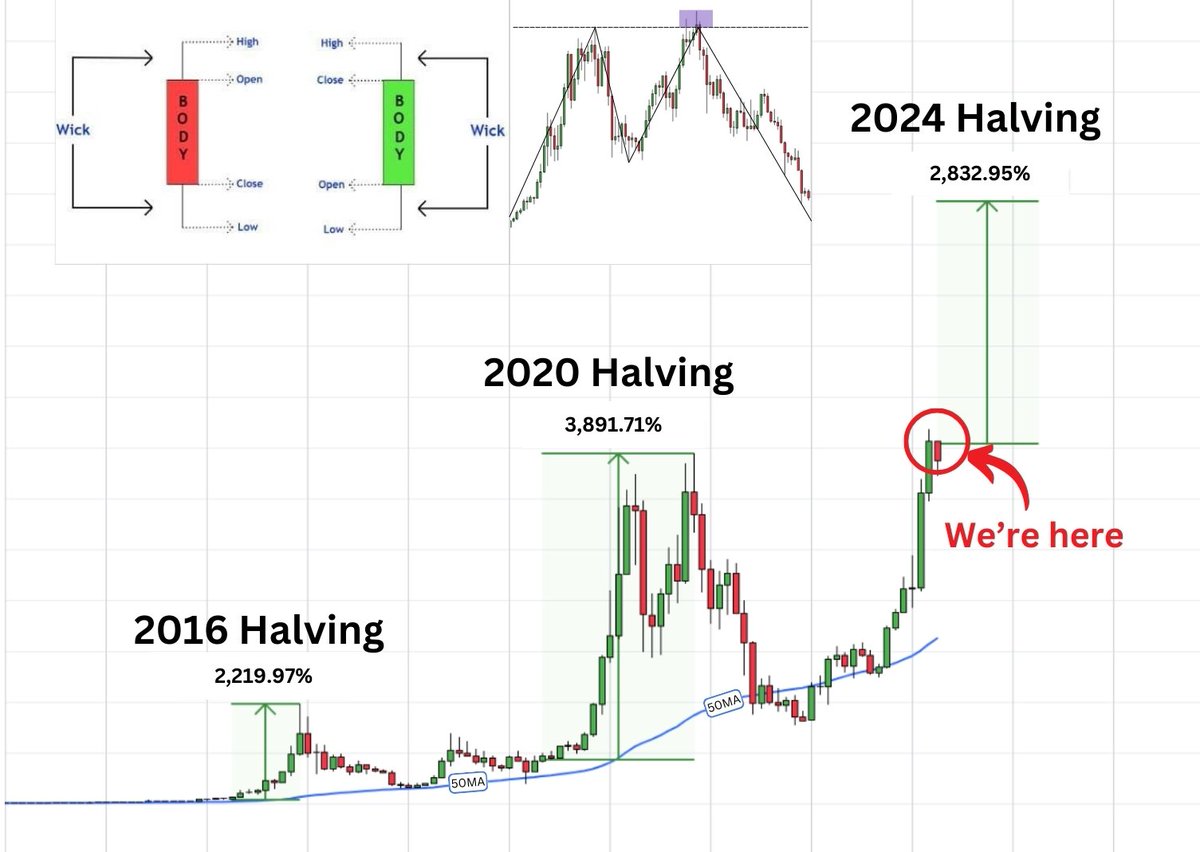 14 days left until $BTC halving. Many analytics screaming that this is END of bullrun 2024.

But Grayscale just bought 32 041 BTC and confident that we'll see HUGE altcoin pumps.

I've analyzed their research and highlighted key points + 5 altcoin picks:

🧵👇