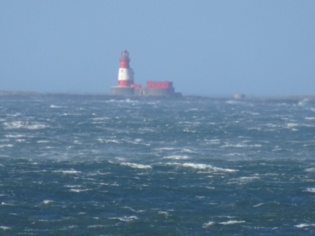 The mighty Farne Islands
#NORTHUMBERLAND 
#FARNEISLANDS 
@NorthEastTweets