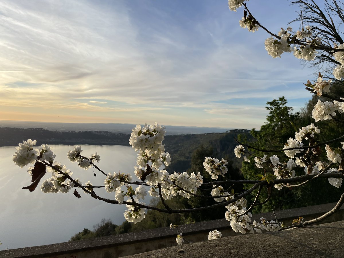 Spring has sprung (or is springing?). Over Lago Albano.