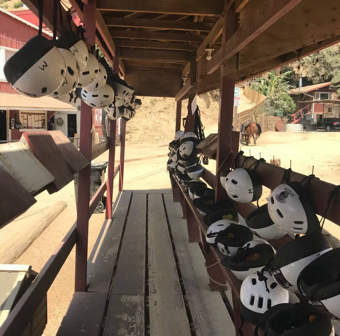 When I arrived at the racecourse, I realized that the helmet I used when riding horses was not on the car🥹