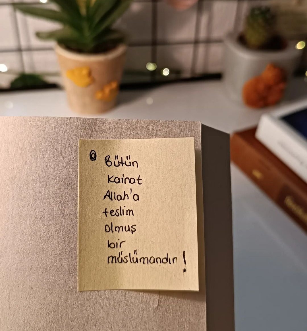 "göktekiler,yerdekiler Allah'a secde ederler."

Nahl/49