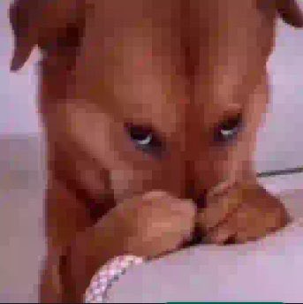soopodarabiolaa's tweet photo. @WTFeinando Acho triste KKKKKK https://t.co/5pCNbOMBVq