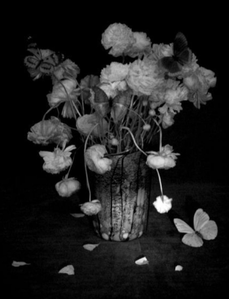 Mon passé se dissout je fais place au silence...

P Eluard