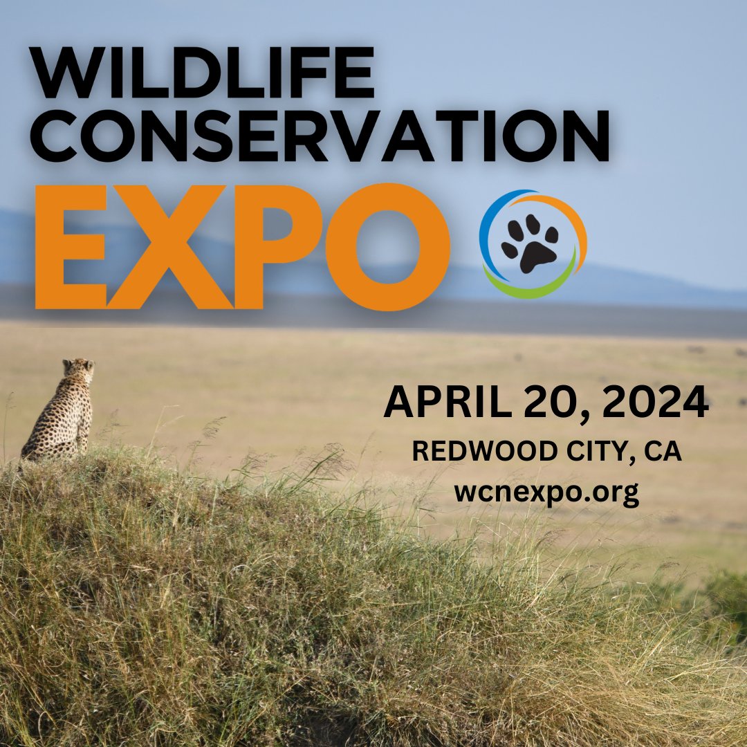 Come see us at the upcoming Wildlife Conservation Expo on April 20! The event brings together conservationists from around the world - and CCF will be at the expo’s international marketplace! Find out more at wcnexpo.org! @wildnetorg #savethecheetah #conservation