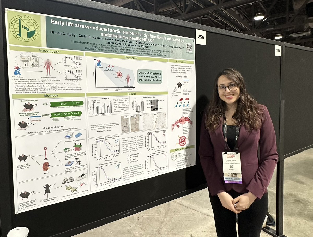 Come talk science with me at my poster #256 at #APS2024 on mechanisms of early life stress (ELS) induced vascular dysfunction #WomenInSTEM