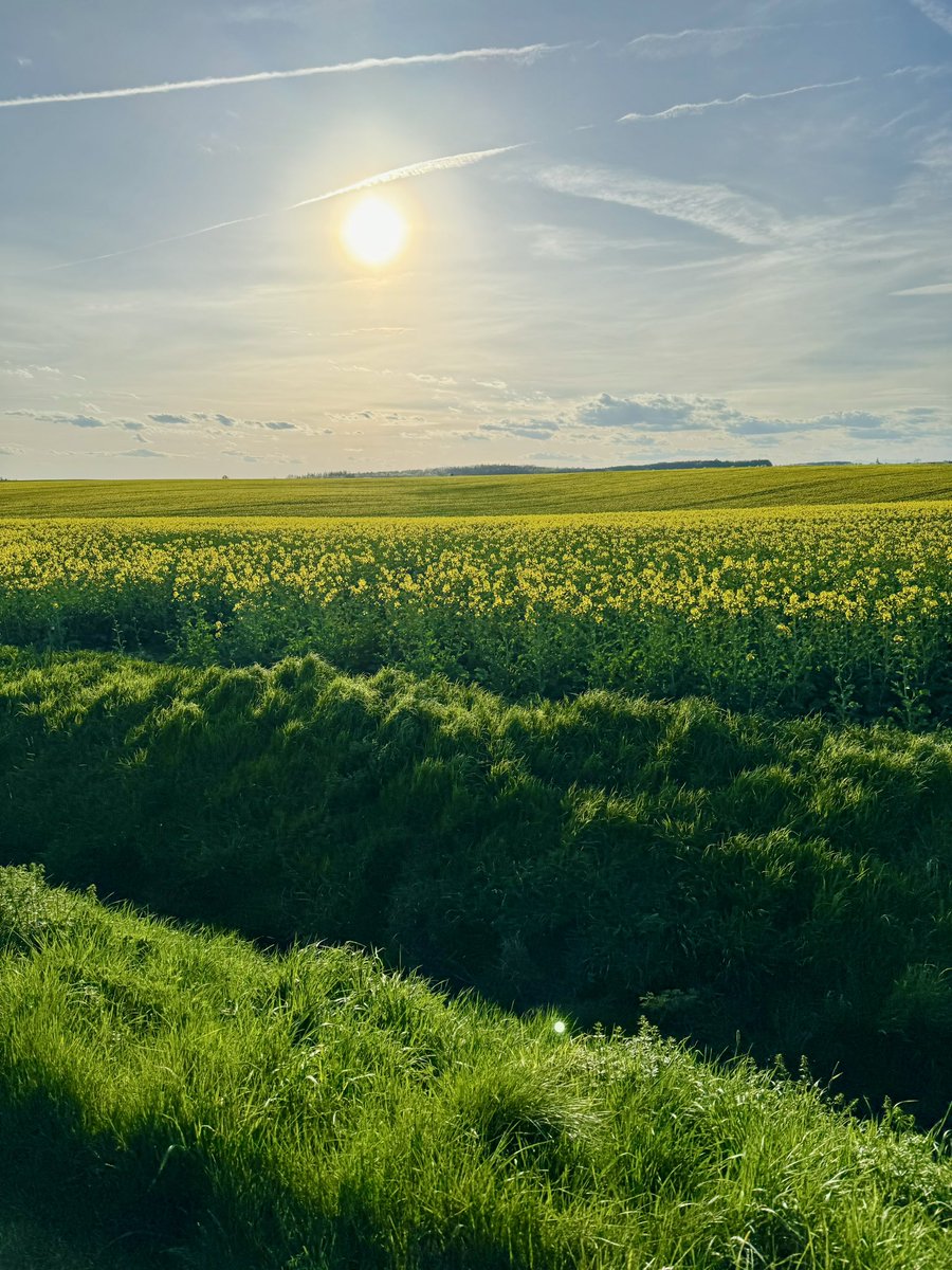 W Czechach to umjom w drogi 😍
Trochę górek, ale zajebiscie. No i rekord - jechałem prawie 60 km/h 🤡
