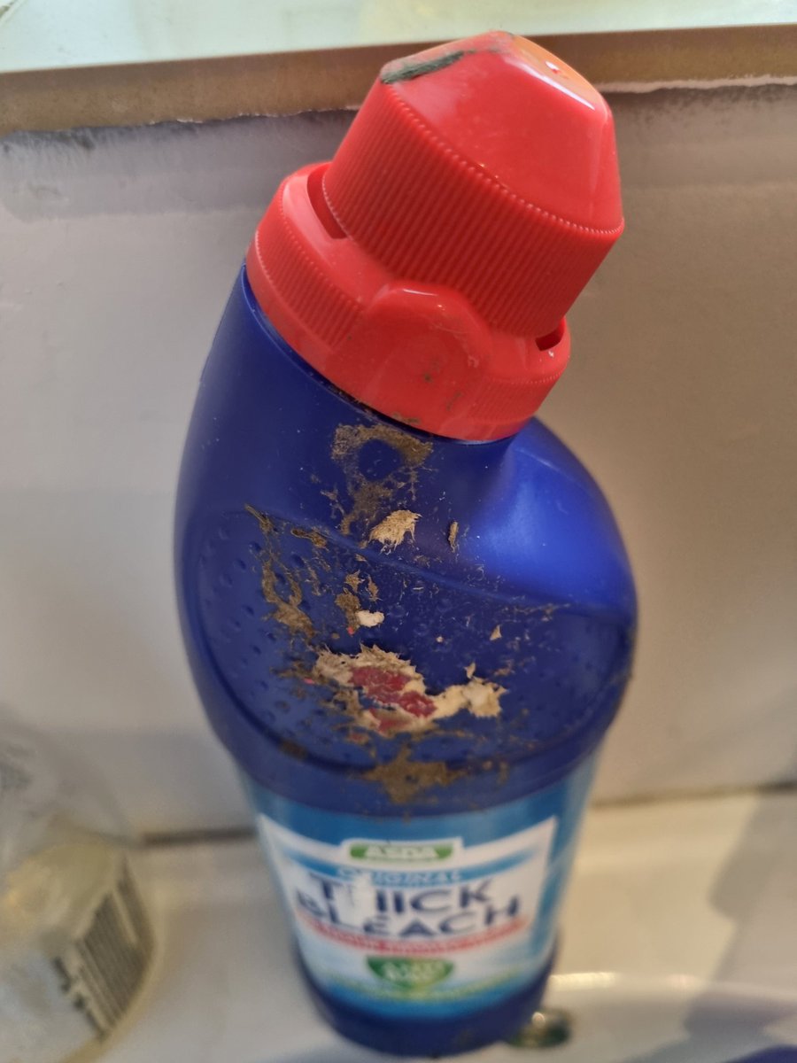 mckeaj's tweet photo. @asda @AsdaServiceTeam  disgusting delivery &amp; you denied replacements. God knows whats on the bleach and the other one must have been damaged as it not full and leaked everywhere. I will be cancelling the monthly deliver charge. Few minor problems over the years but this is it. https://t.co/eD0gwxCCMC