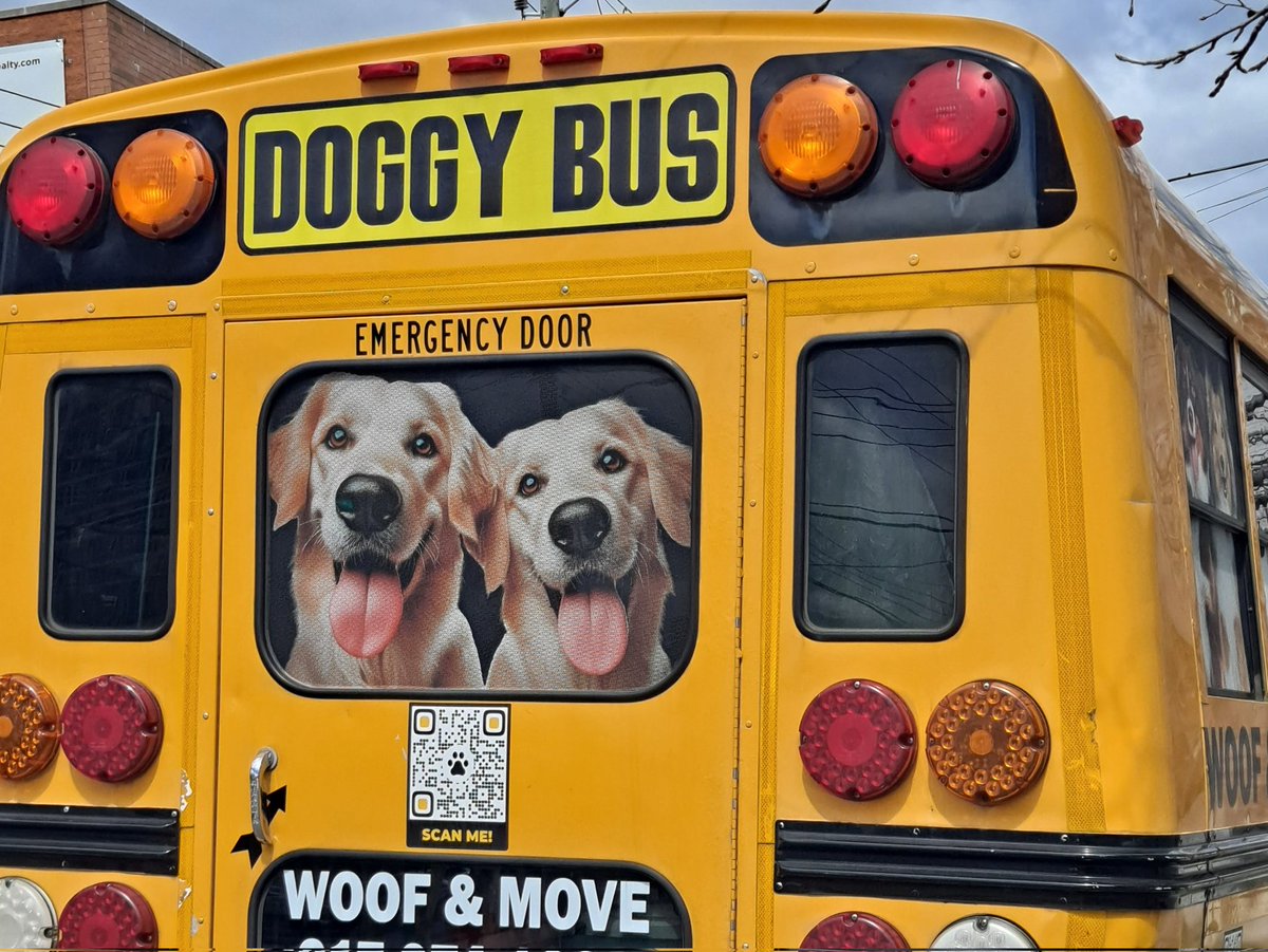 emptyess512's tweet image. Look what I found: the Yankees on the road transportation 🤣😍🐶😀🗽⚾️ #Yankees #RepBx #FortheDawgs