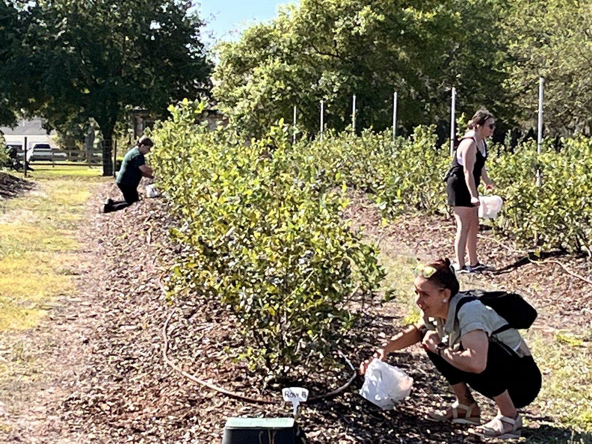 We have closed for the remainder of this weekend! Thank you to everyone who came out to the farm this week.
Check back mid-week for next weekend's hours of operation and what delicious treats will be offered at the Market!