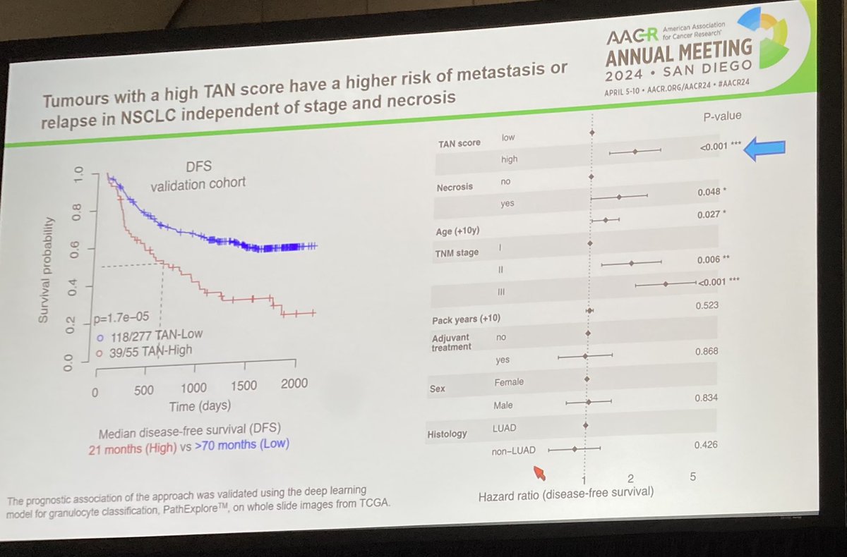 The tumour microenvironment educates us in patient risk of metastasis/relapse in lung cancer… @CharlesSwanton @UCLHresearch @TheCrick #AACR24