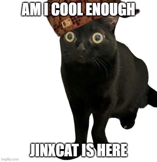 #JINXCat is here to take over