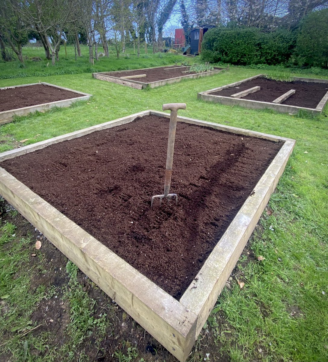 Storm #Kathleen knocked off our electricity all day. No better excuse to spend #NoDigAllotment prep Let the growing session begin #GrowYourOwn