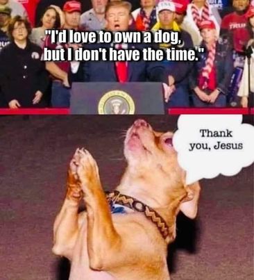 Dogs are the best judges of people. #tailsofjoy tailsofjoy.net