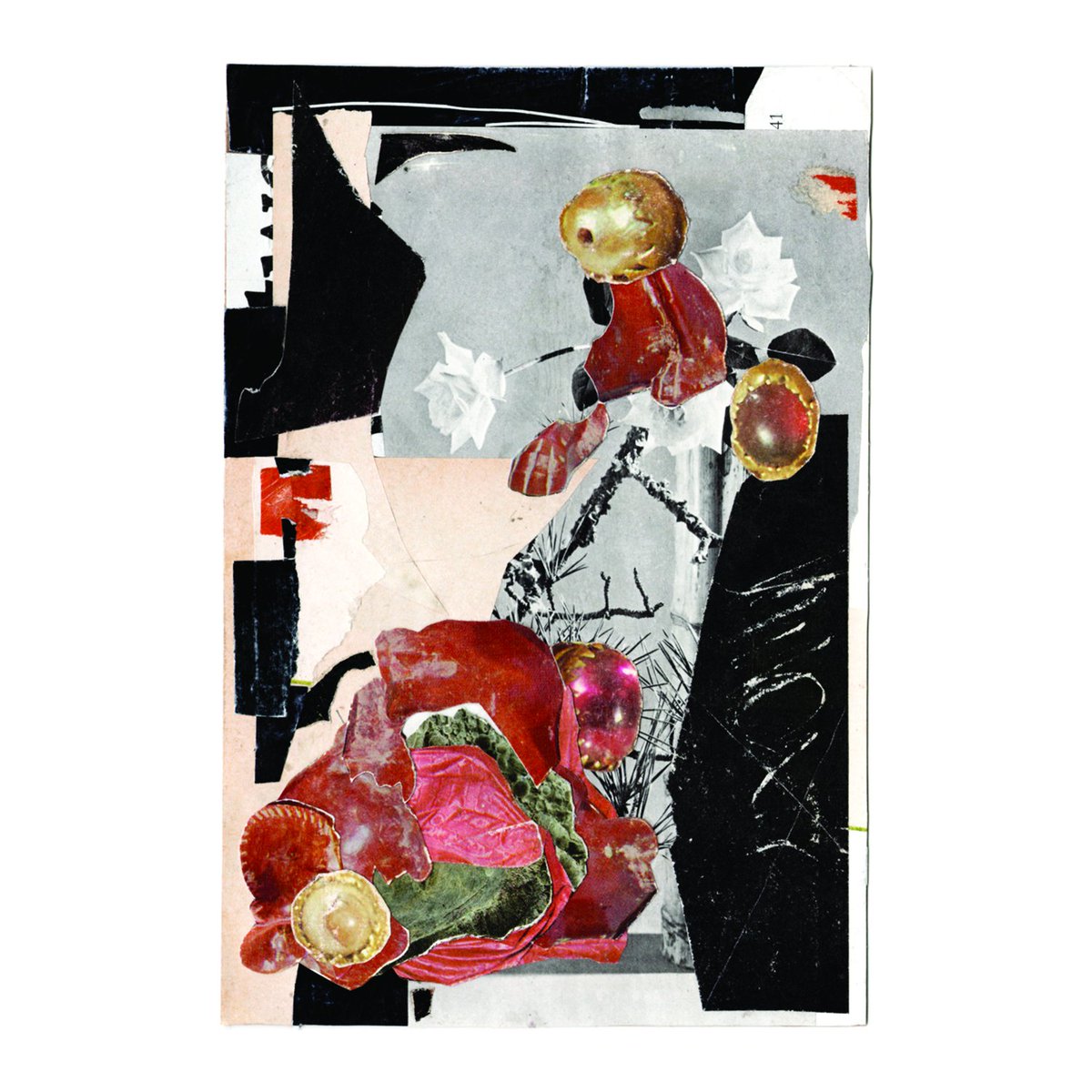 morphic additions - series two now available tweet media