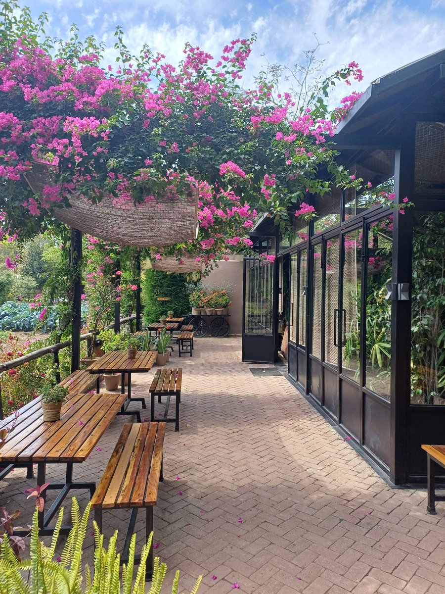 Joydeep_js's tweet photo. Bhopal has some nice places to hang out ! https://t.co/wumTqyGwNW