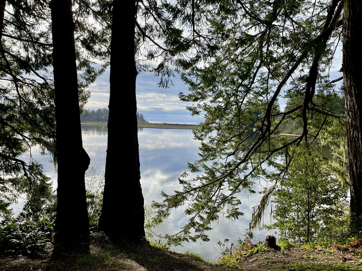 Happy #Saturday #VancouverIsland 🌲 Here’s your #Vanisle #weather ✅ SOUTH 10° 🌧️ 30% PM EAST 10° 🌧️ 30% PM WEST 9° 🌧️ NORTH 9° 🌧️💨 Full forecast @CHEK_News at 5 p.m. 📷 Witty’s Lagoon by Paul Young @CHEK_media #ShareYourWeather #BCwx #weather