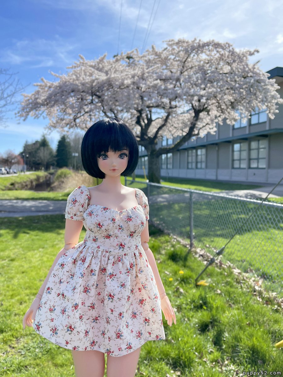 Hanami with Niji and Marvel last Sunday early access post, remember to check it out if you are a supporting patreon! :D bit.ly/2024hanamiNM Public access tomorrow I think :3 #hanami #smartdoll #smartdollpear #puppy52dolls