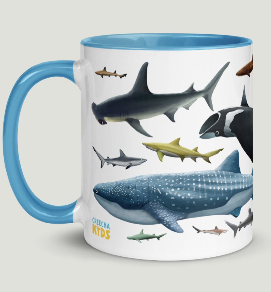 Shark Education tweet media