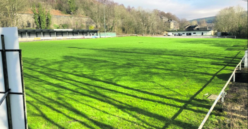 TOMORROW: We're training with @SaddRangers and hosting a fans' forum afterwards – and YOU are invited! 📍 Shaw Hall Bank Rd 📅 Thurs April 11 🏉 Session with Rangers 6:30-8pm 🗣️ Fans' Forum 8:30pm-9:30pm The event is FREE with food available to buy. #StrongerTogether