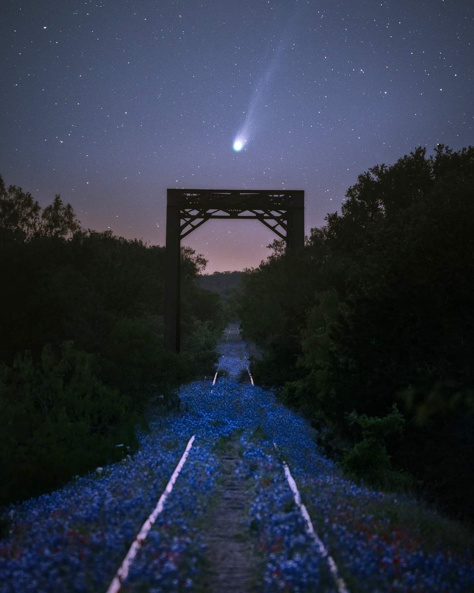 leeloo7z's tweet image. IG: @krl_photo

#krlphotoworkshops 
#ponsbrooks
#devilscomet 
#sonyalpha
#teamslik
#texashillcountry 
#bluebonnets