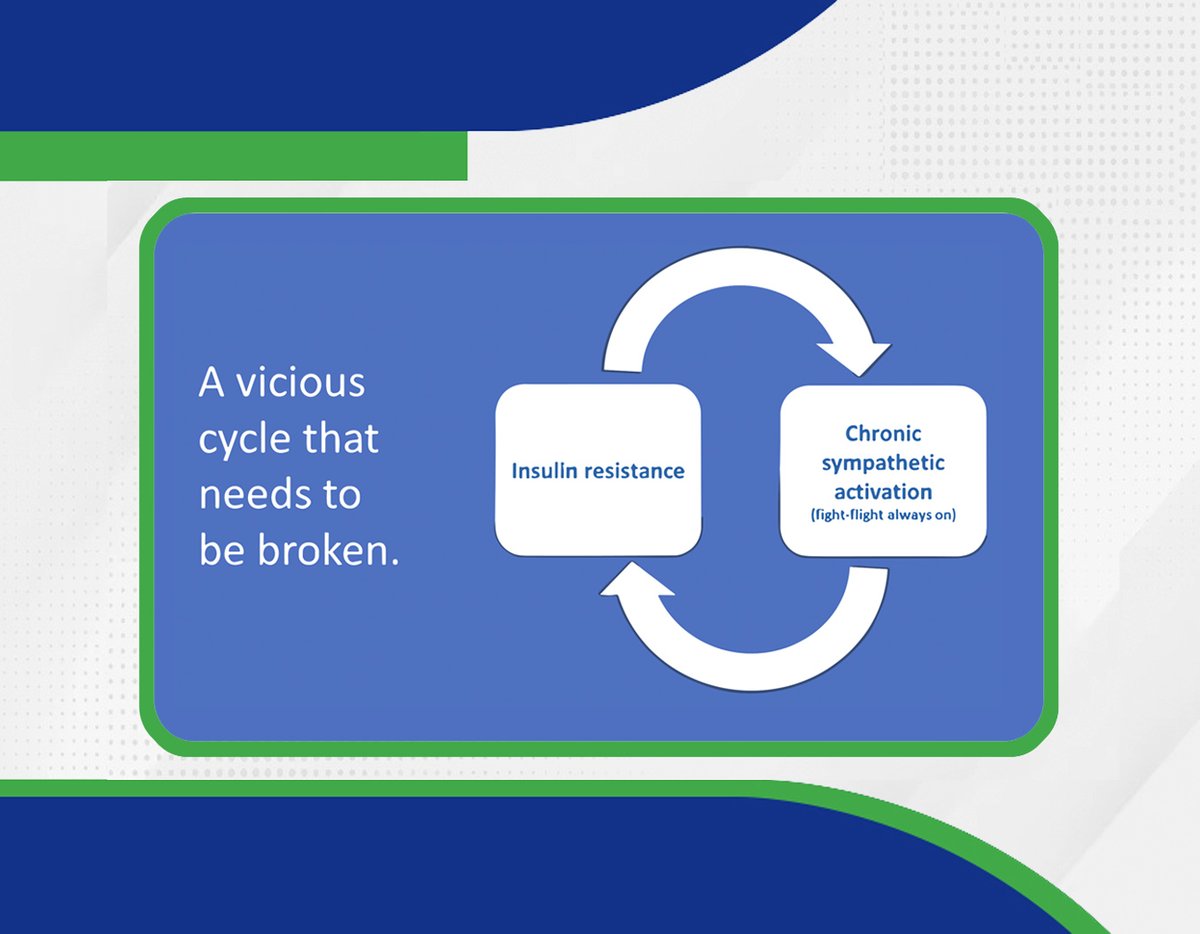 Insulin resistance and our fight-flight nervous system. What we eat, how we move, sleep, mindset and our environment are so important. Breaking the vicious cycle will create multiple benefits. Some benefits appear very quickly. #livertwitter #medtwitter #MAFLD