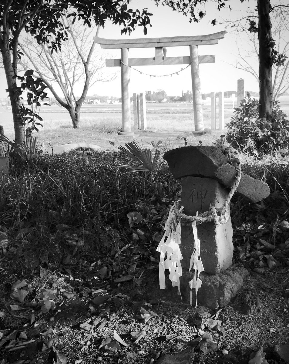 Dans différentes parties du monde 01 

星宮神社⛩
Sanctuaire Hoshimiya

2017  
Shimoichizuka,Oyama,Tochigi,Japan 

#ddpdm
#midotamaphotos
