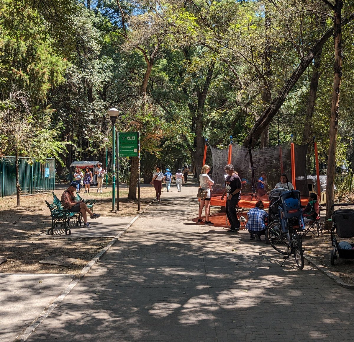 My Latin Life 🌴 tweet media