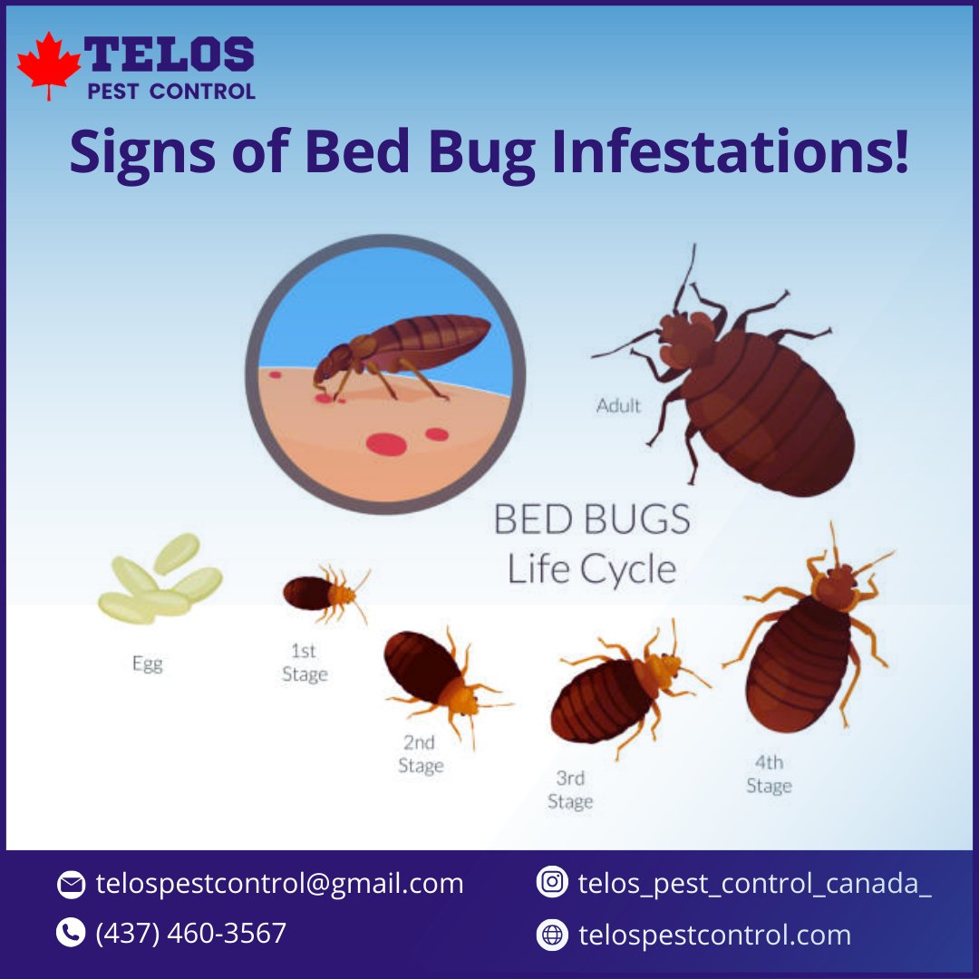 Visit Now:  telospestcontrol.com
#bedbugcontrol #BedBugSolutions #bedbugfree #pestfreetoronto #torontobugs #pestcontrol #BedBugInfestation #bedbugremoval #bedbugcontrolnearme #pestcontrolnearme #bedbugcontroltoronto #torontoexterminators #torontopestmanagement