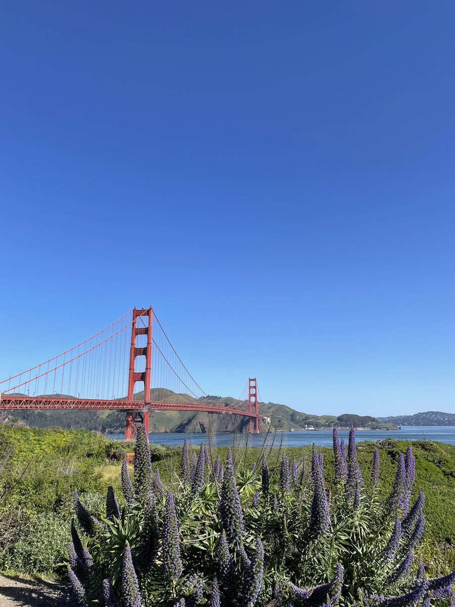Nancy_T_S's tweet photo. Had a great time this week learning about hyperpolarized MRI at the @UCSFHMTRC workshop! https://t.co/NWuA32EJ23