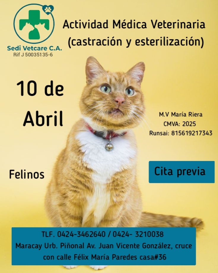 sedivetcare's tweet photo. Actividad Médica Veterinaria para felinos 😺 (esterilización y castración)

Escríbenos a los siguientes números para mayor 
➡️ 0424- 3210038 /
 0424- 3462640
.
Estamos ubicados⬇️ 
.
 Urbanización Piñonal, Av. Juan Vicente González, casa # 36 https://t.co/eqC0K9GVmD