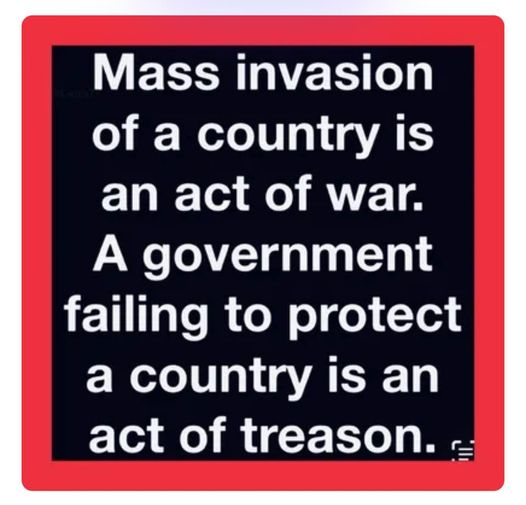 Our country is being invaded by mass populations of illegals and criminals worldwide, and our government is complicit. This is an act of treason.