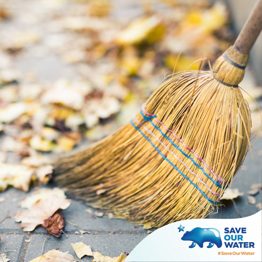 Sweep your way to a greener planet! Put down the hose and pick up the broom to clean your driveways and sidewalks. 🍂 Visit Saveourwater.com to learn more. #SaveOurWater #California #WaterWise