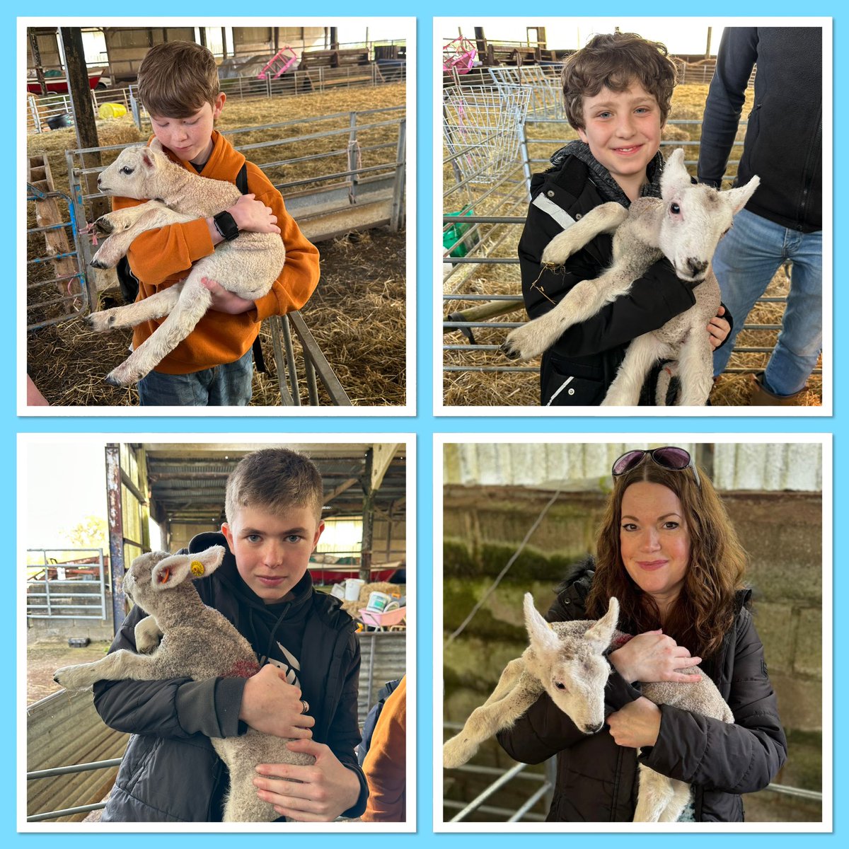 SShaljean's tweet photo. Lovely morning introducing some of our younger LND boys from CCA school to farm life courtesy of the lovely #emmabarr of #hammondsfarm. We held baby lambs, groomed a horse, fed the resident pig and even sat in and learnt about tractors. They thoroughly enjoyed it π @EssexPFCC https://t.co/eJsBlu1iso