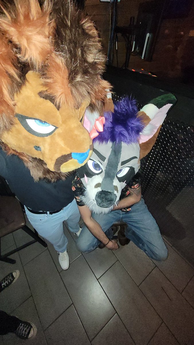 FTP_BEAN's tweet photo. Girl chill, we the same mf fr
#FursuitFriday https://t.co/f002dTMDQJ