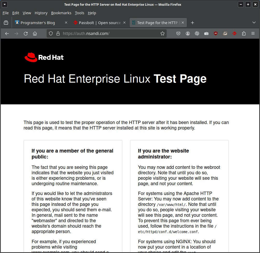Programster tweet media