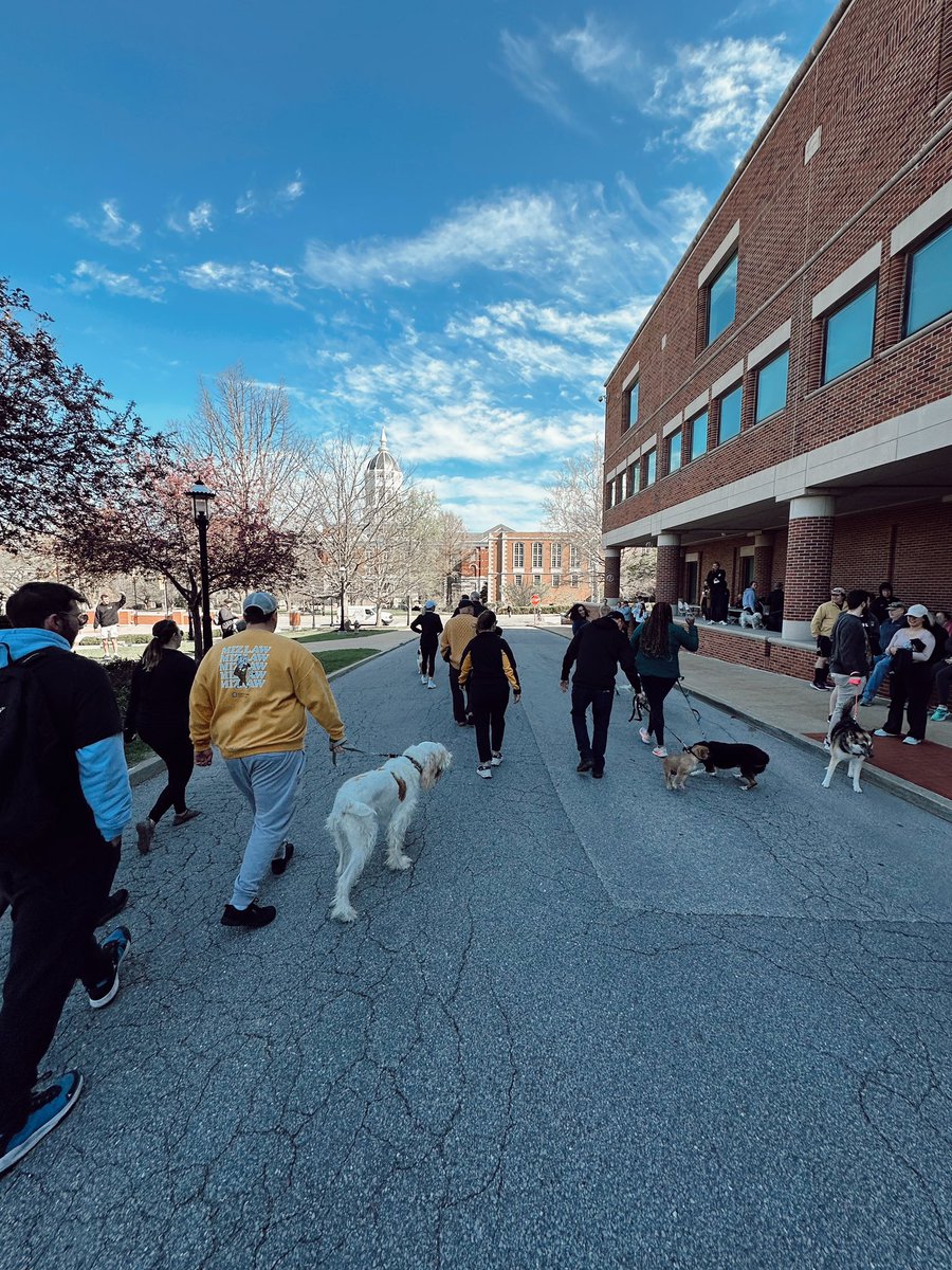 mizzouth5k's tweet photo. 2024 Tim Heinsz Run, Jim Devine Dog Walk, &amp; Bob Bailey Bike Ride is in the books! Thanks to everyone who came out to participate, eat pancakes, bring the energy, &amp; make the event a huge success! 🏅 https://t.co/8wofGqM0kz
